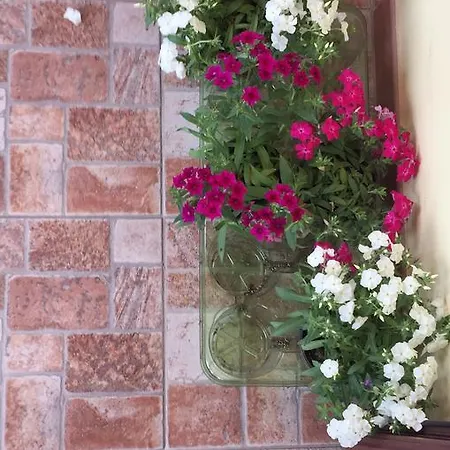 Guest house Attico Arcobaleno